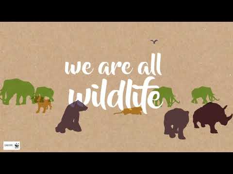 Geox WWF Ανατομικά Δερμάτινα Παιδικά Μποτάκια με Σκρατς Navy Μπλε